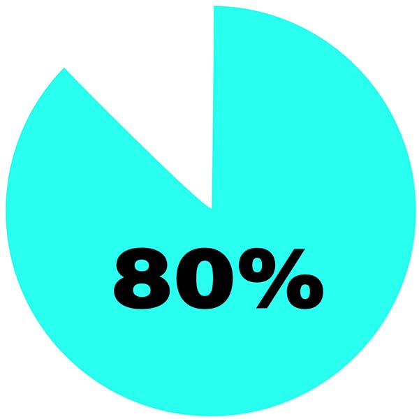pie chart showing eighty percent
